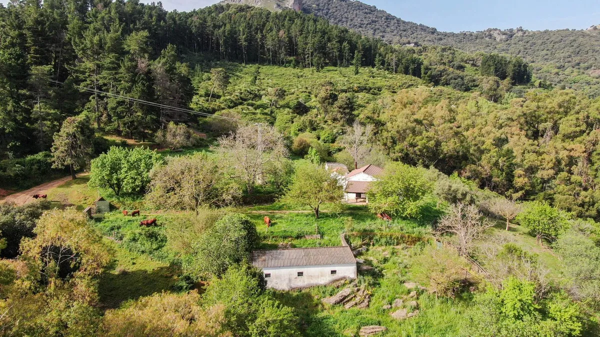 1a5ad61f-05ef-48ed-9a2b-c4da325e201f