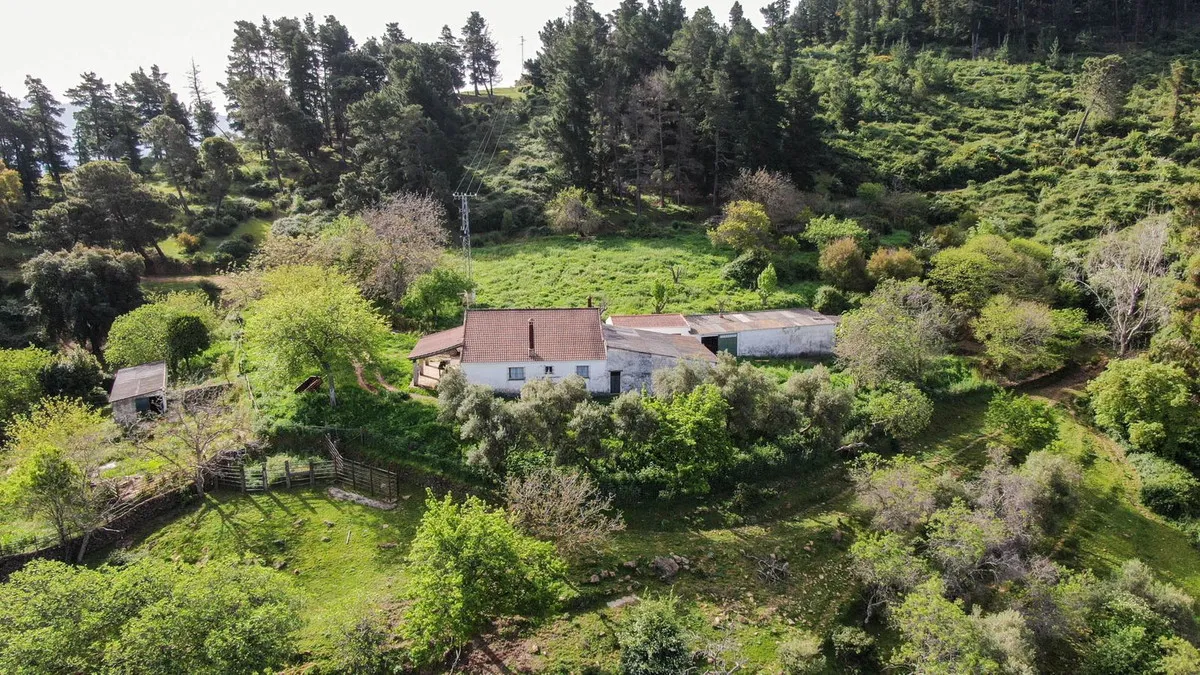 36ea2105-a08c-4b3a-b1f2-9a5c5c511222