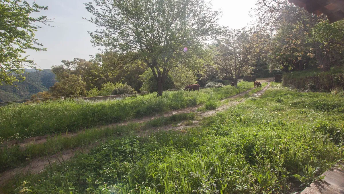 526cf8ab-6cbc-4ddb-bbb9-1abf62d4041b