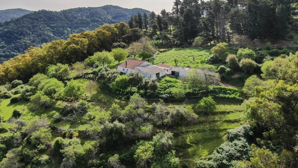 93b7f0b2-b535-4143-ab92-4117d1301c7f