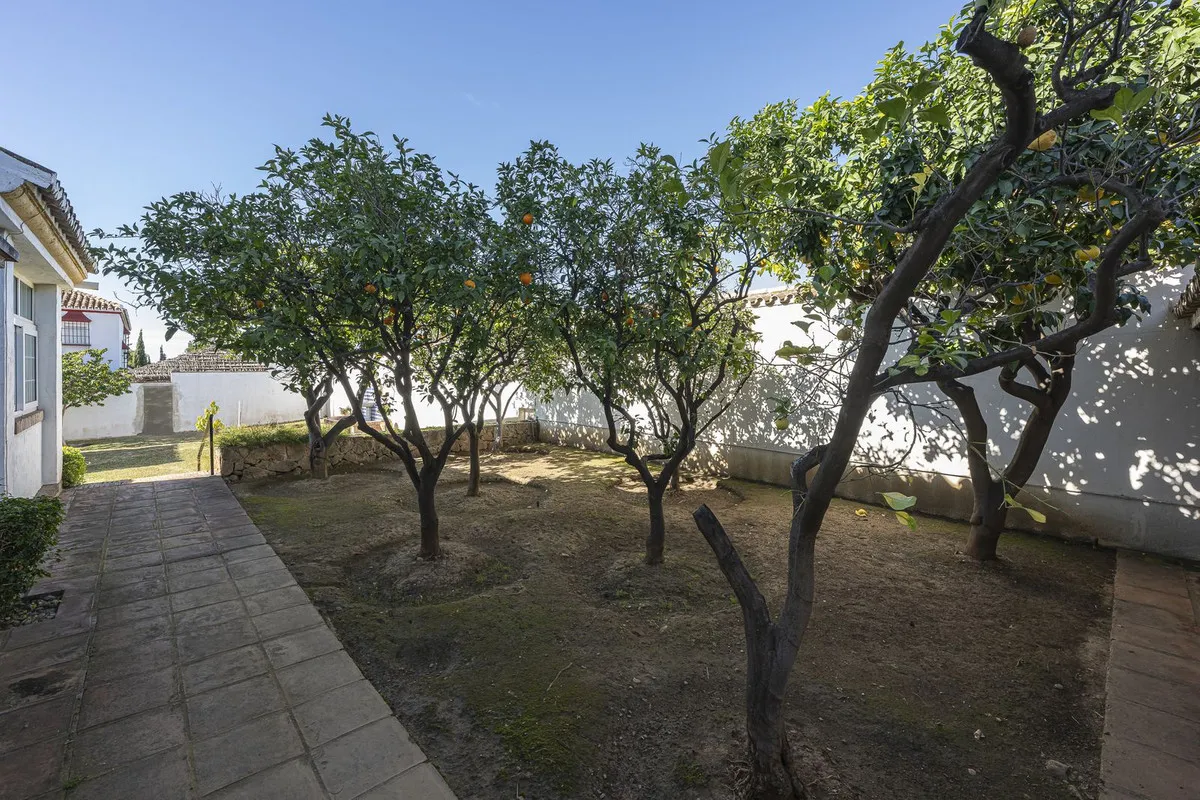 c99066d5-19a9-4c51-83e0-eaf5ed499b84