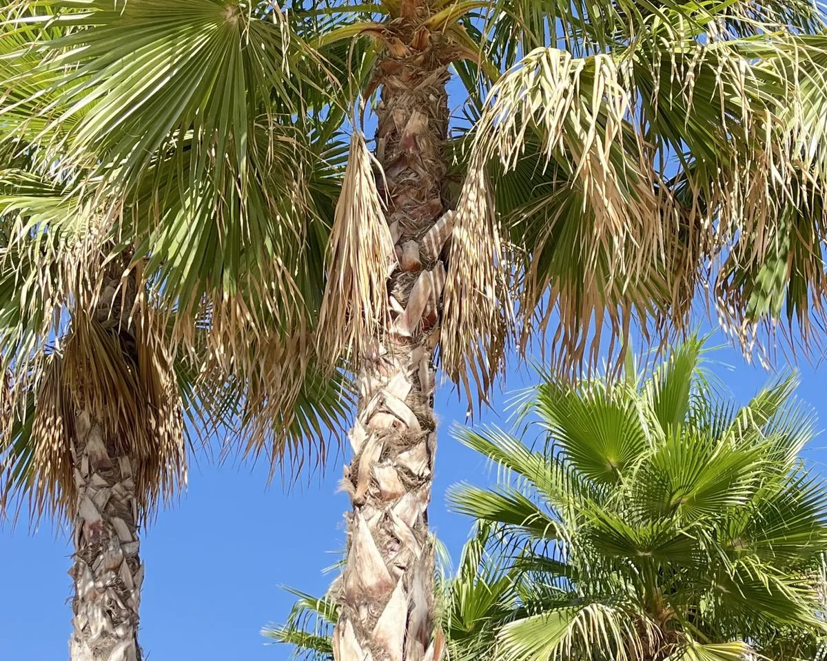 87ade70e-7b72-416d-99be-d3de30fe5a3d