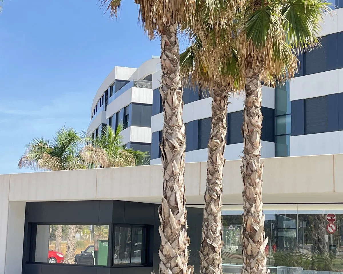 a1379d4f-3753-41e9-ba5f-7f90785d98aa