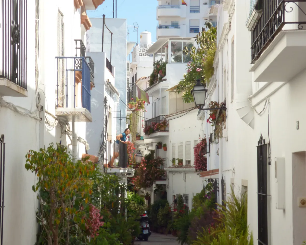 e26335aa-f1b8-4700-b80c-bf8b37c4ee47