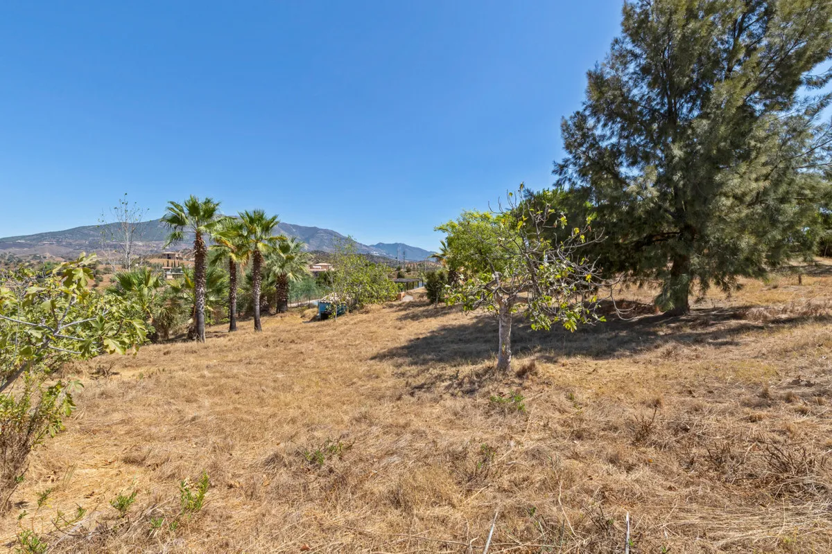 6a0b2f55-489c-43c5-847f-7ea27a1507ea