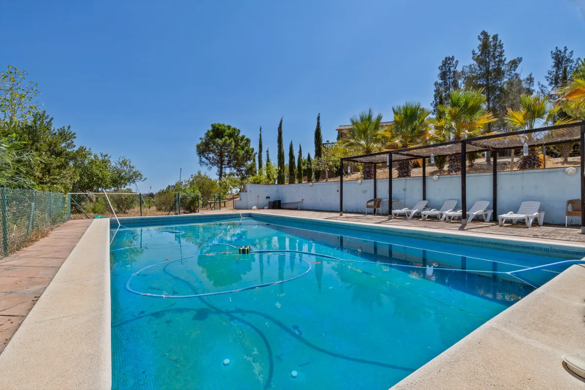 c53bdd30-9d9c-45d0-a503-d5faaf3d891d