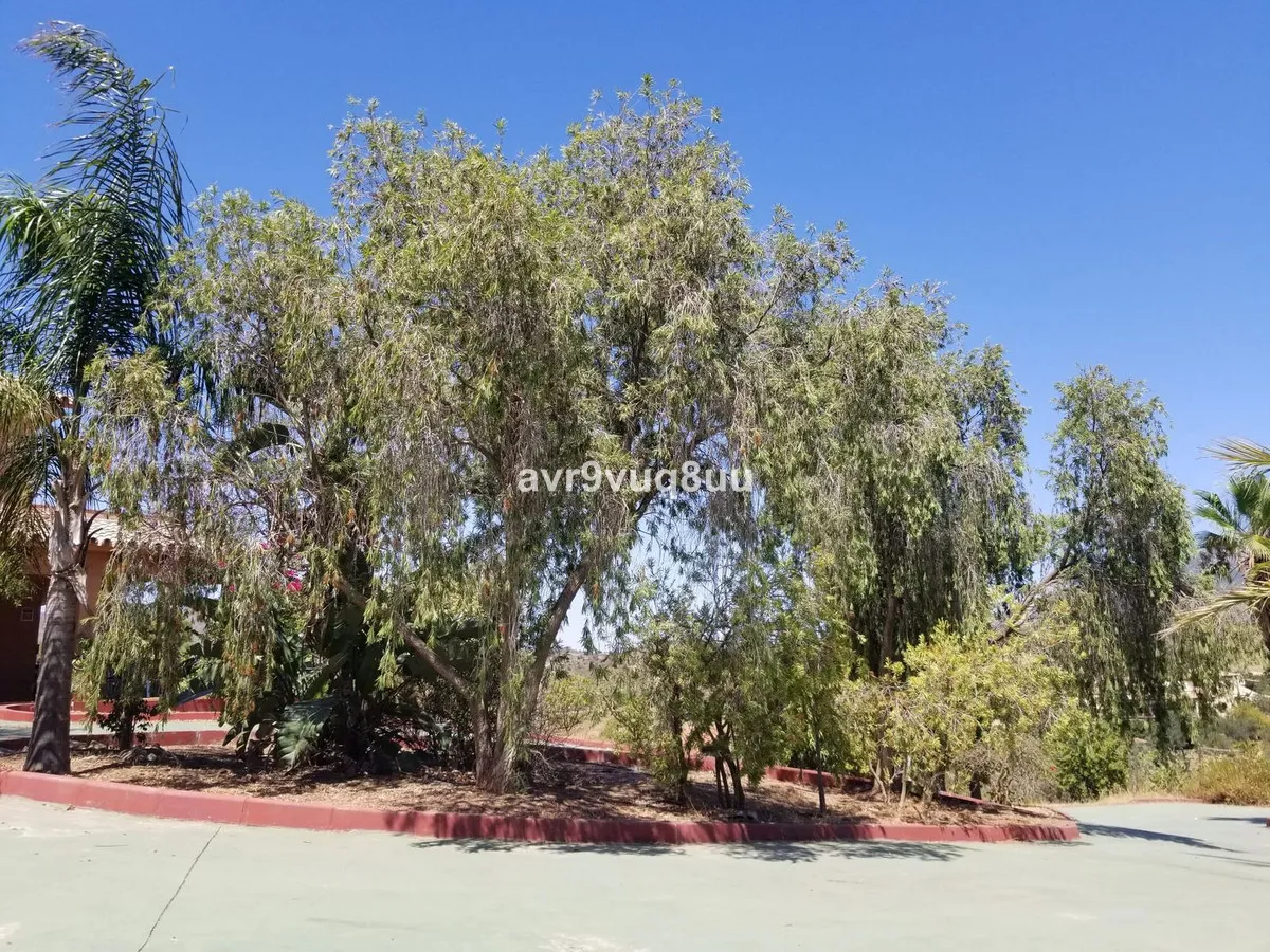 ed83cd21-f7d2-40c0-a6e1-e807e2c7d393