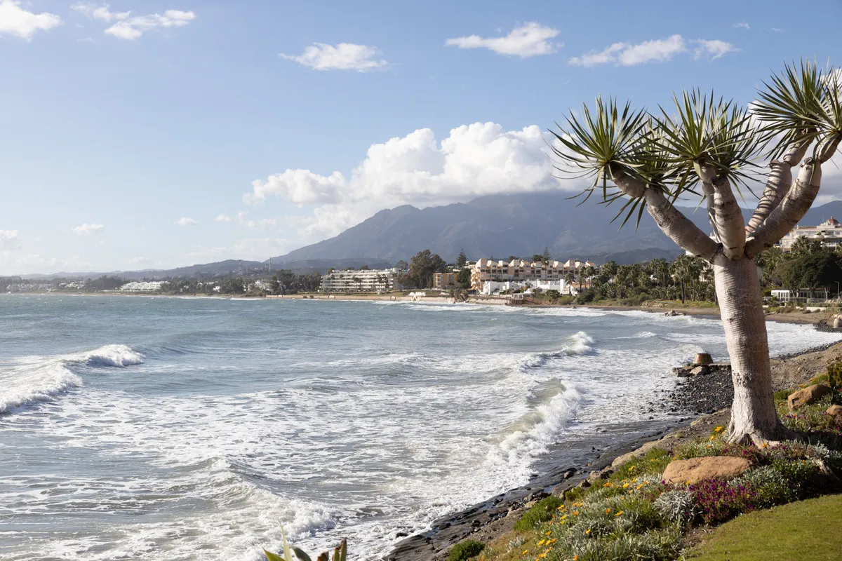 b3ab0dcd-25f7-4c16-ad85-d72fe65ab66f