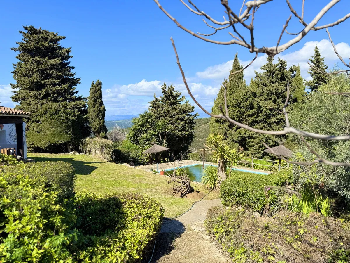 331255d5-6fc9-4841-b92d-111daae8a1d9