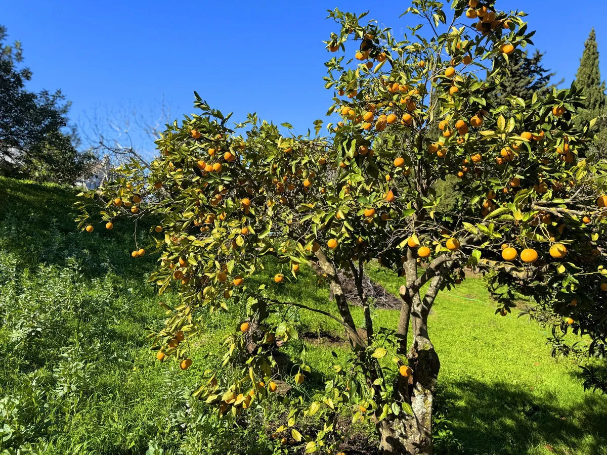 a7bbd0a5-56cd-4fb2-bedc-699aae39d337