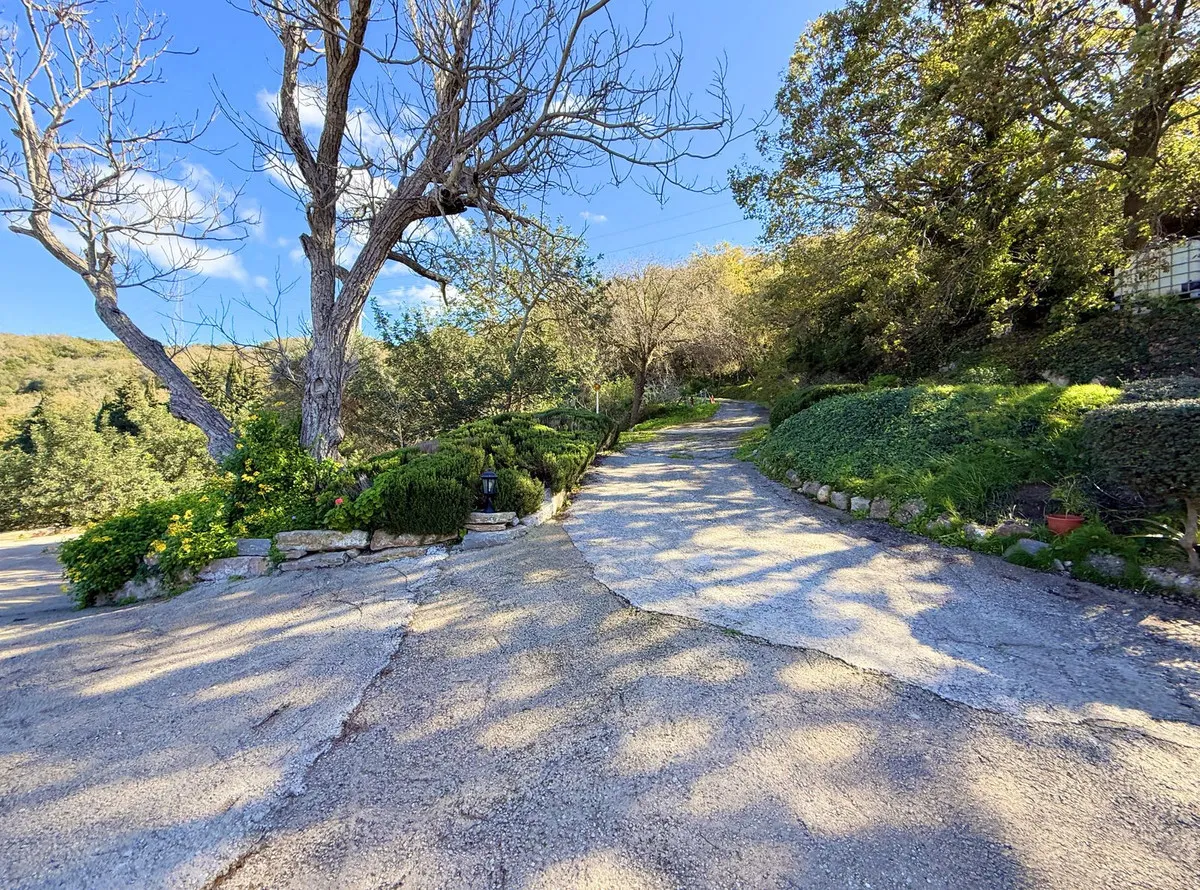 c0853801-37c1-42e1-b045-5498f3136726