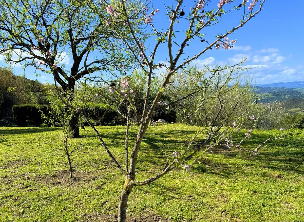 ec4c2153-049b-4400-ba4b-8628bfe6245a