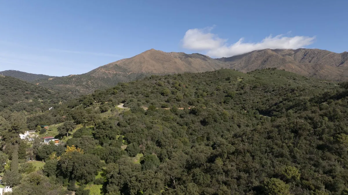 587d6541-f684-44b1-8186-bf613acd2372