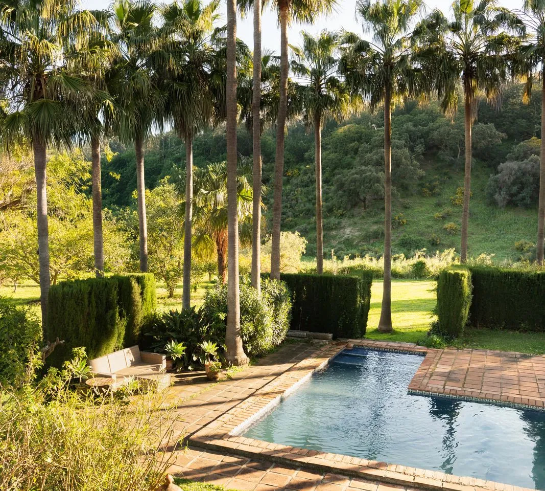 65490ef2-9d68-4d62-ba12-076fedc99928