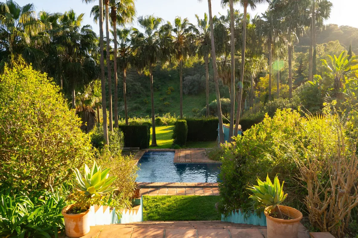 72ec7b81-8718-4439-8a9a-97d65d90b72a