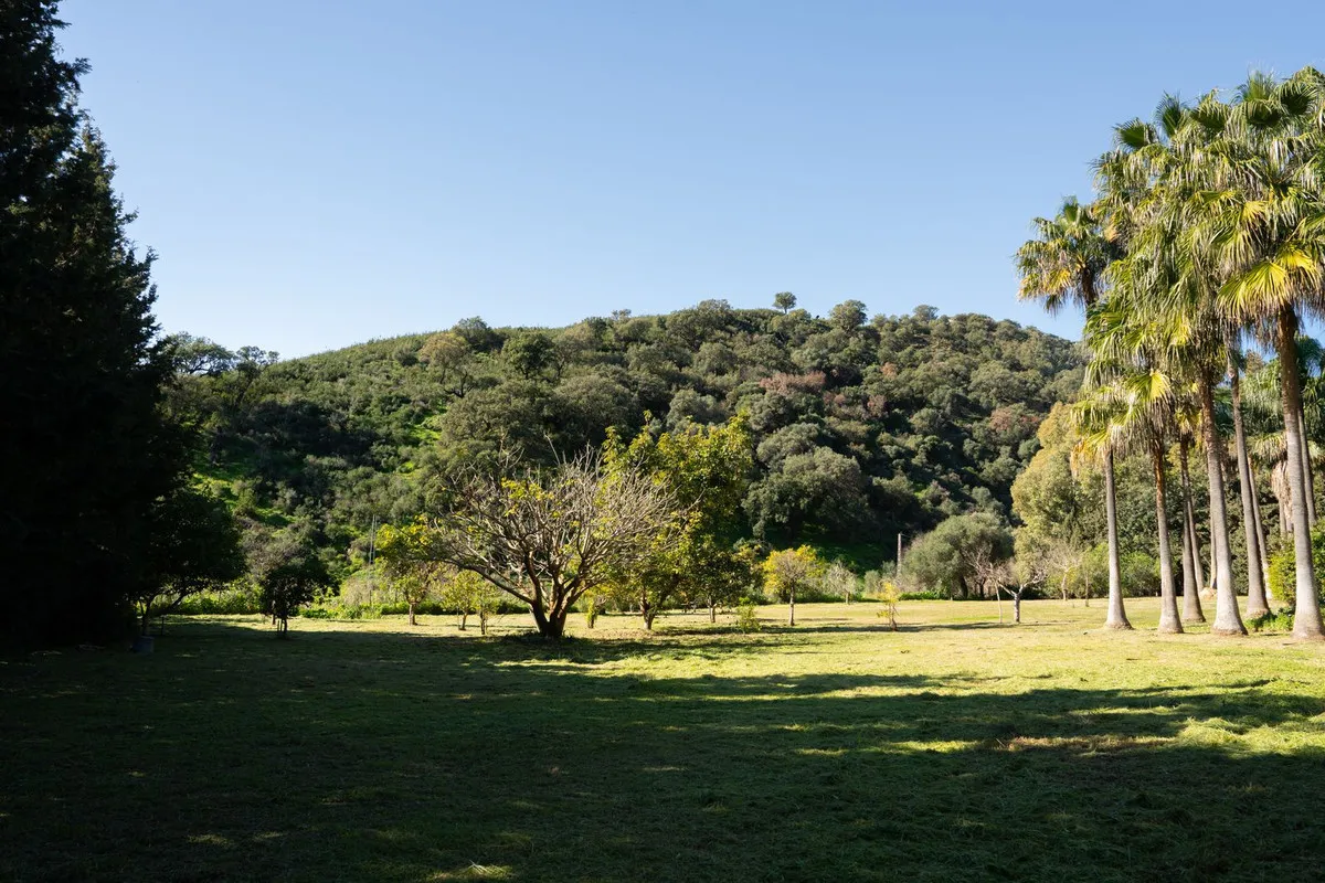 807a5c93-d5a3-45df-b97c-63fe197112d2