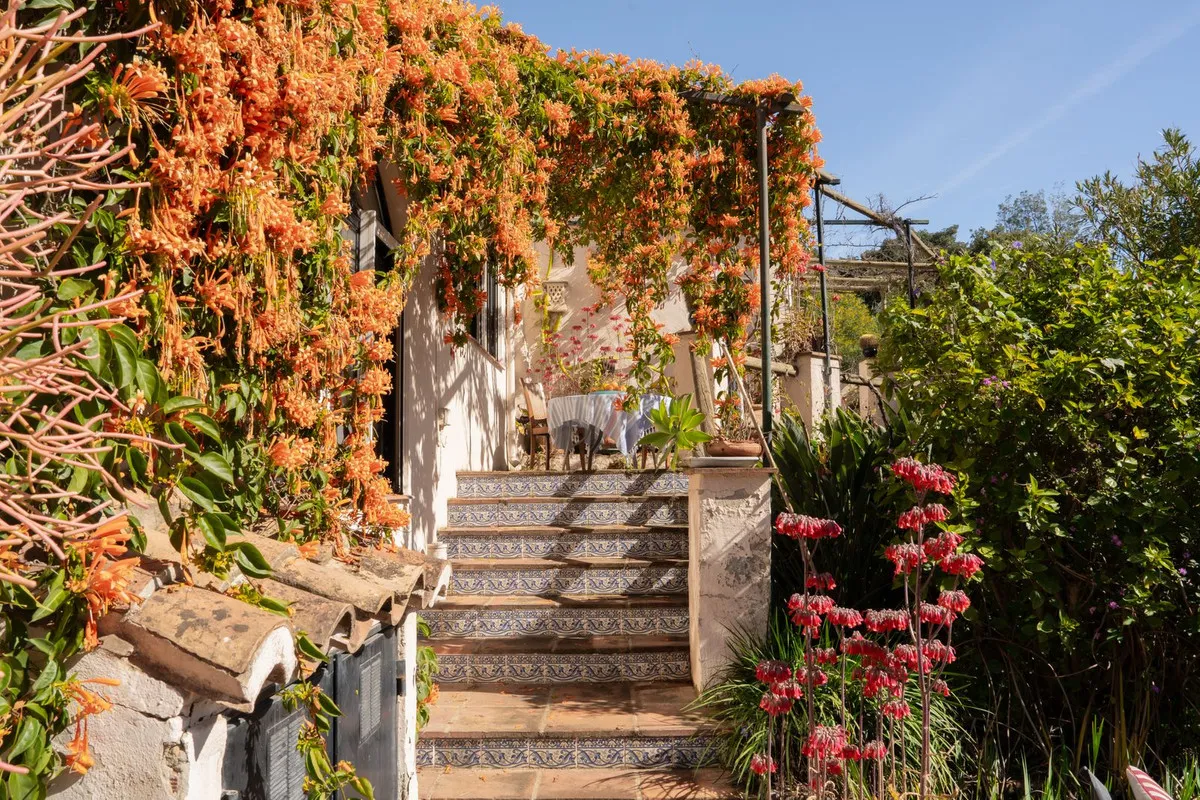 98885803-9b4d-410f-a89e-0d0584eae313