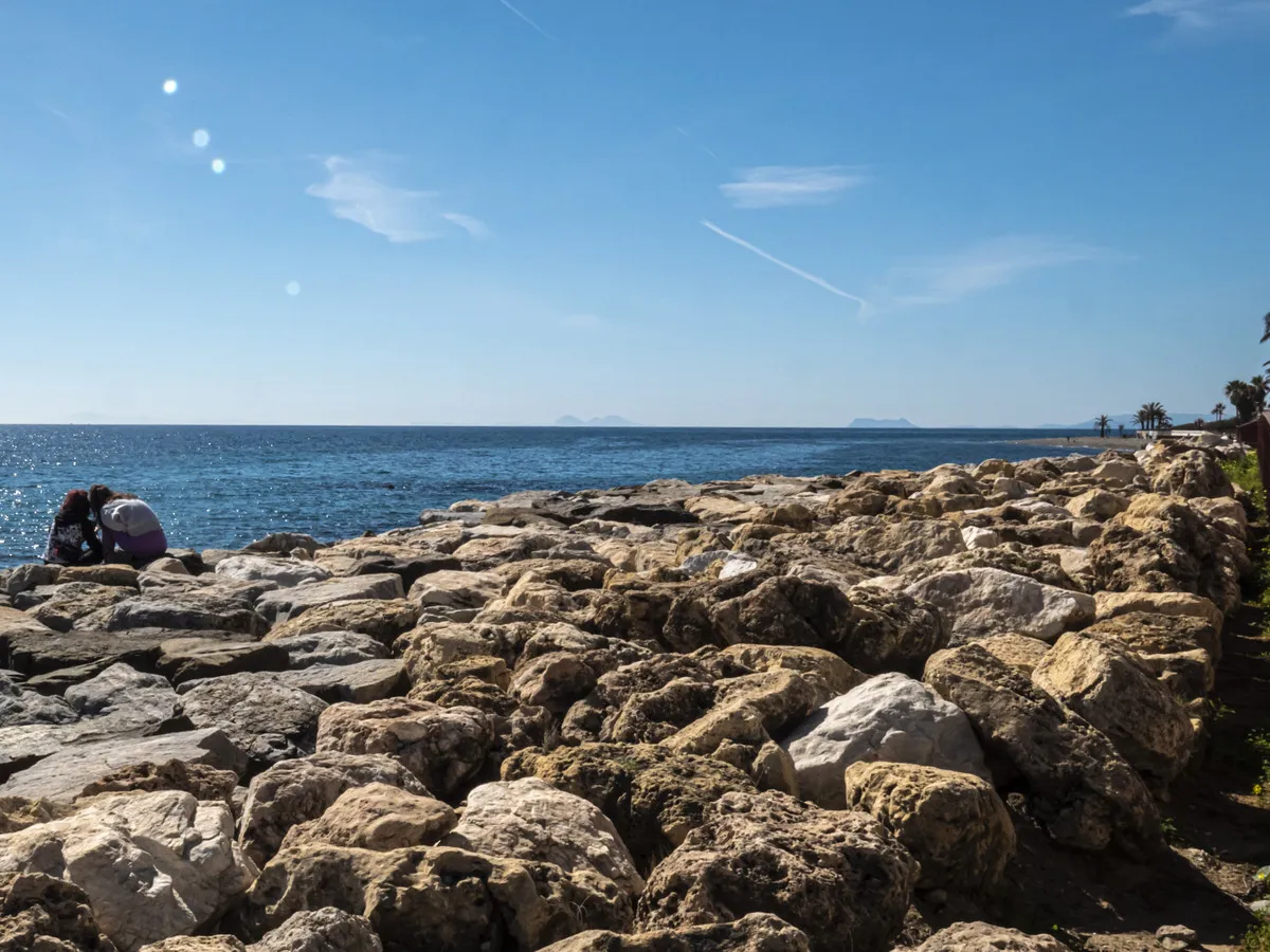 e667378d-50f3-4ccc-aead-14101b806d19