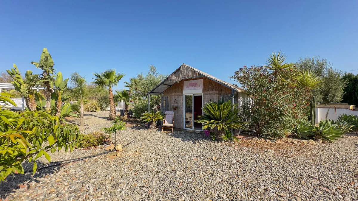 c8fd6d51-74d4-45b4-a3ea-ed3018e6e3c7