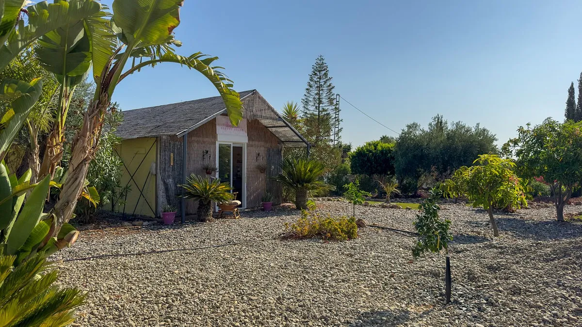 dd35453e-a2f3-44f9-bbfb-ffee1c6bd0b5