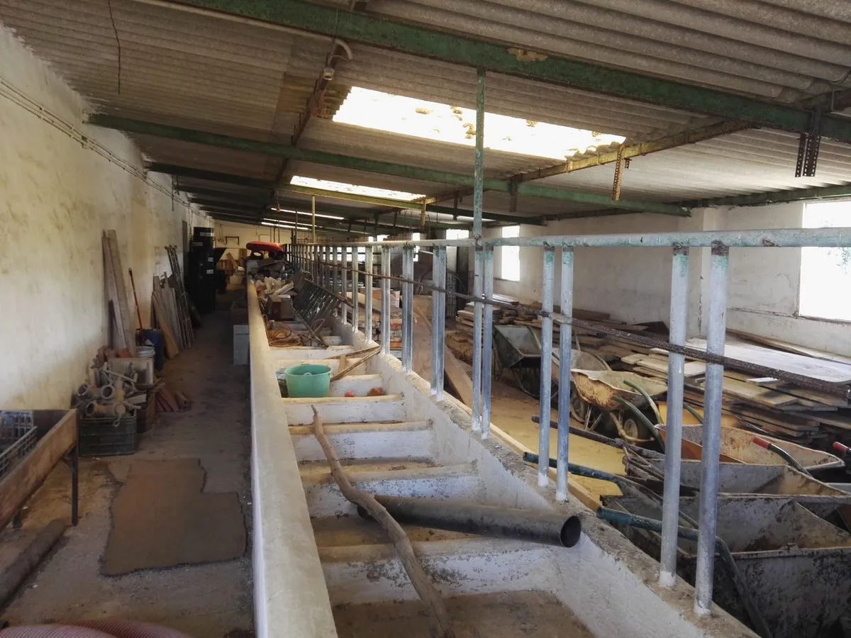 027c6c88-cb9c-4489-8dde-a6ed01e35dd6