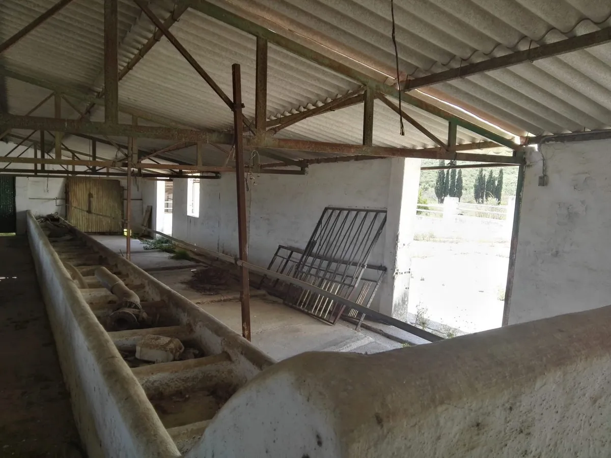 19d3de35-f43e-4385-bbfc-3146e101b474