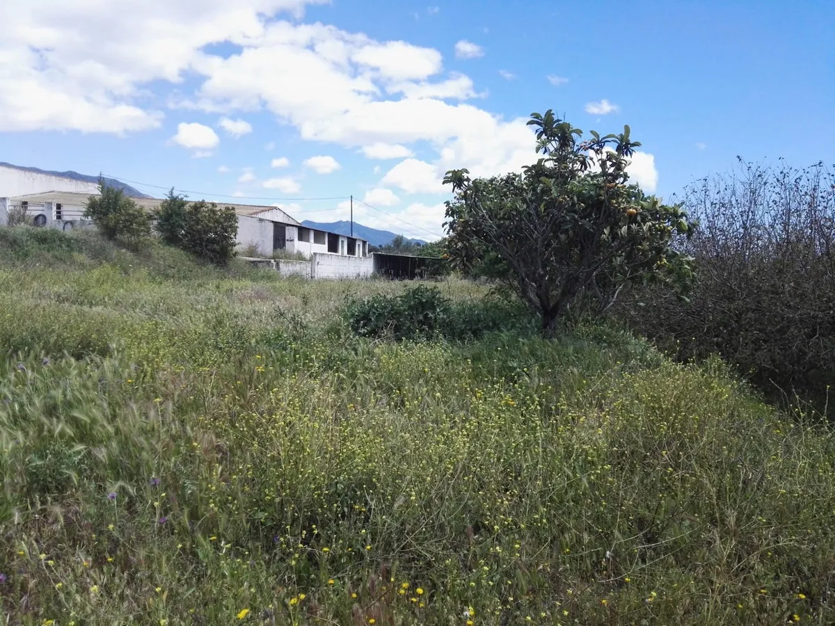 3addfa33-0a87-4a4b-946e-adc6e04fb367