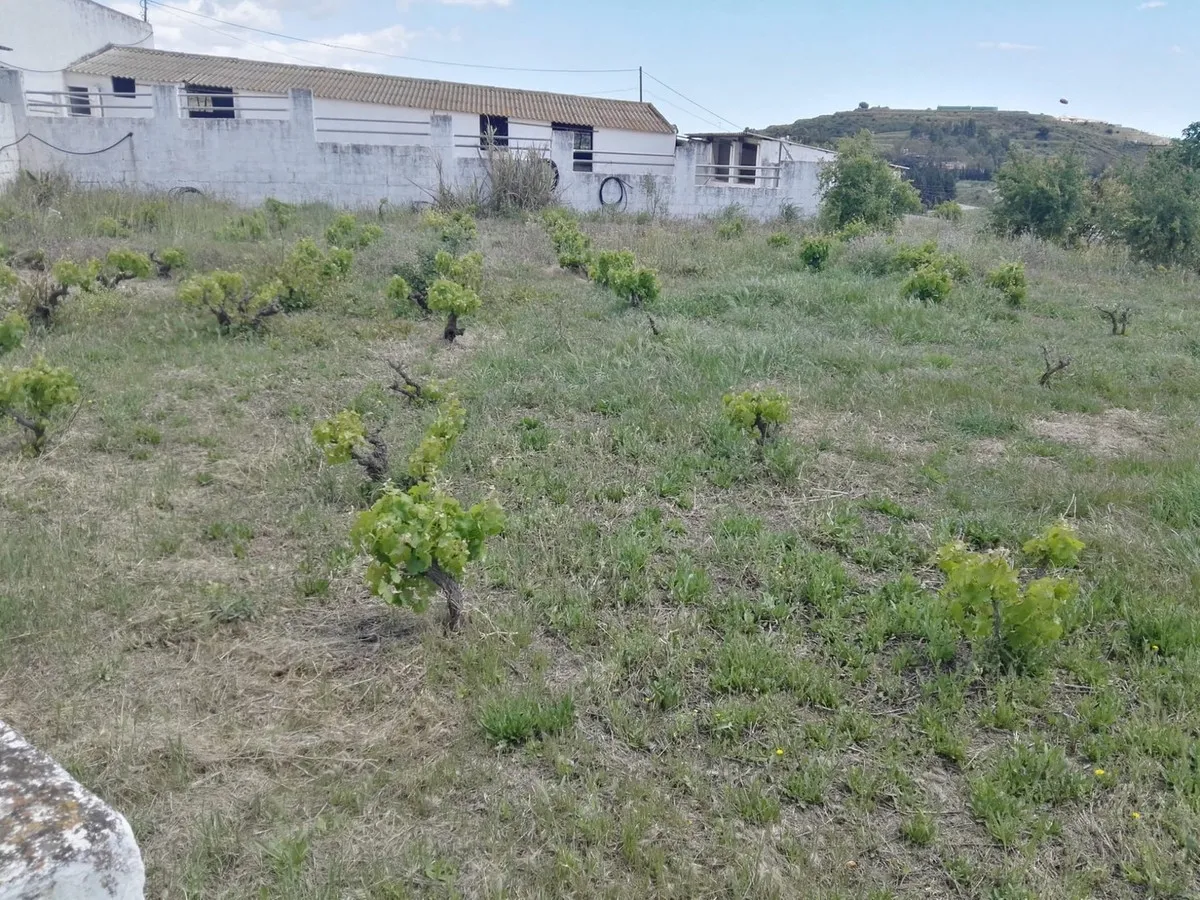 5f647c36-eae1-4046-ac3c-cf399410852b