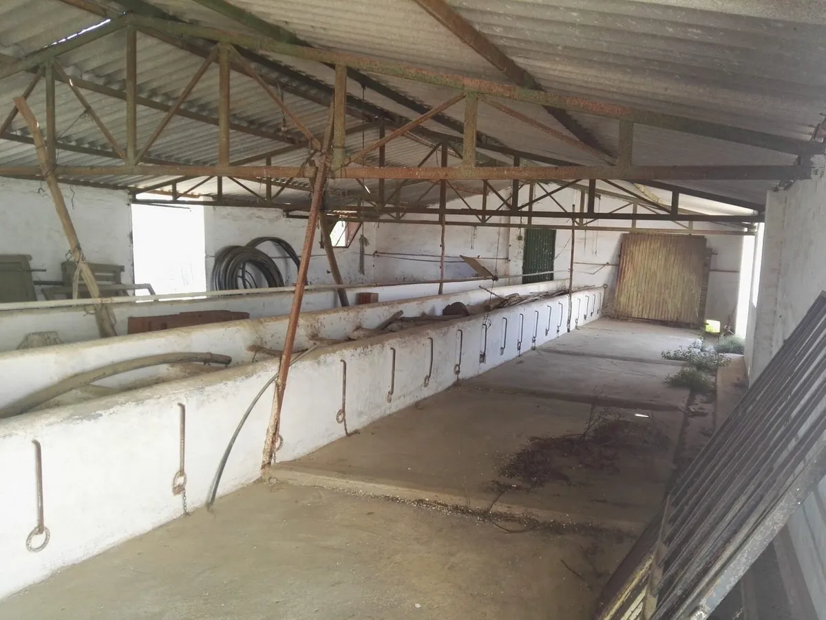 aef0e167-a042-489e-9b61-8561505c1e51