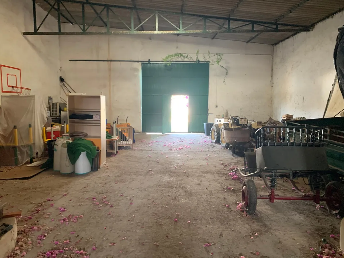 b3353adf-0204-459f-959d-667f73d3f202