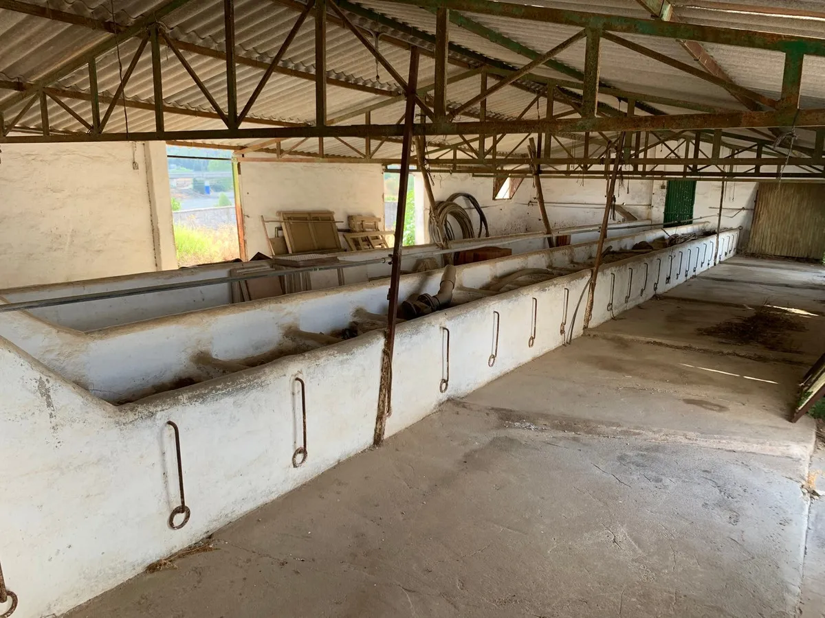 cacbf00f-eb39-4d93-a6bc-e193d8163c97