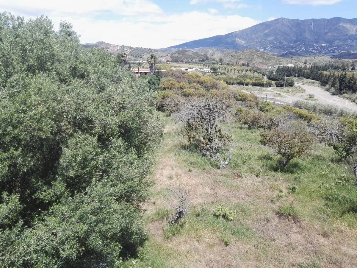 dd33d20b-2d17-4406-a7cf-5d11b832e01a