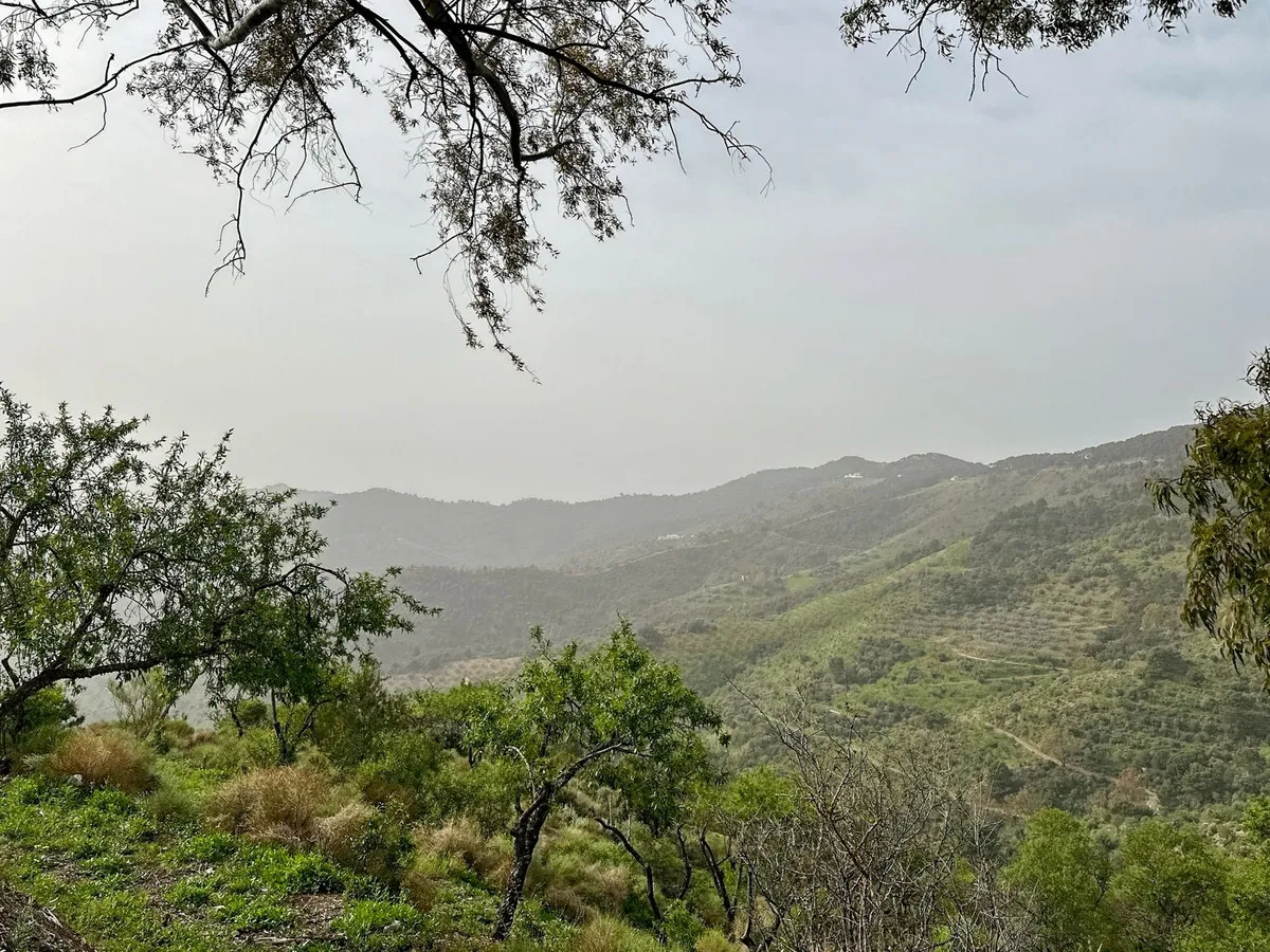 0238025d-0ac0-4516-83cf-86a398c75a81