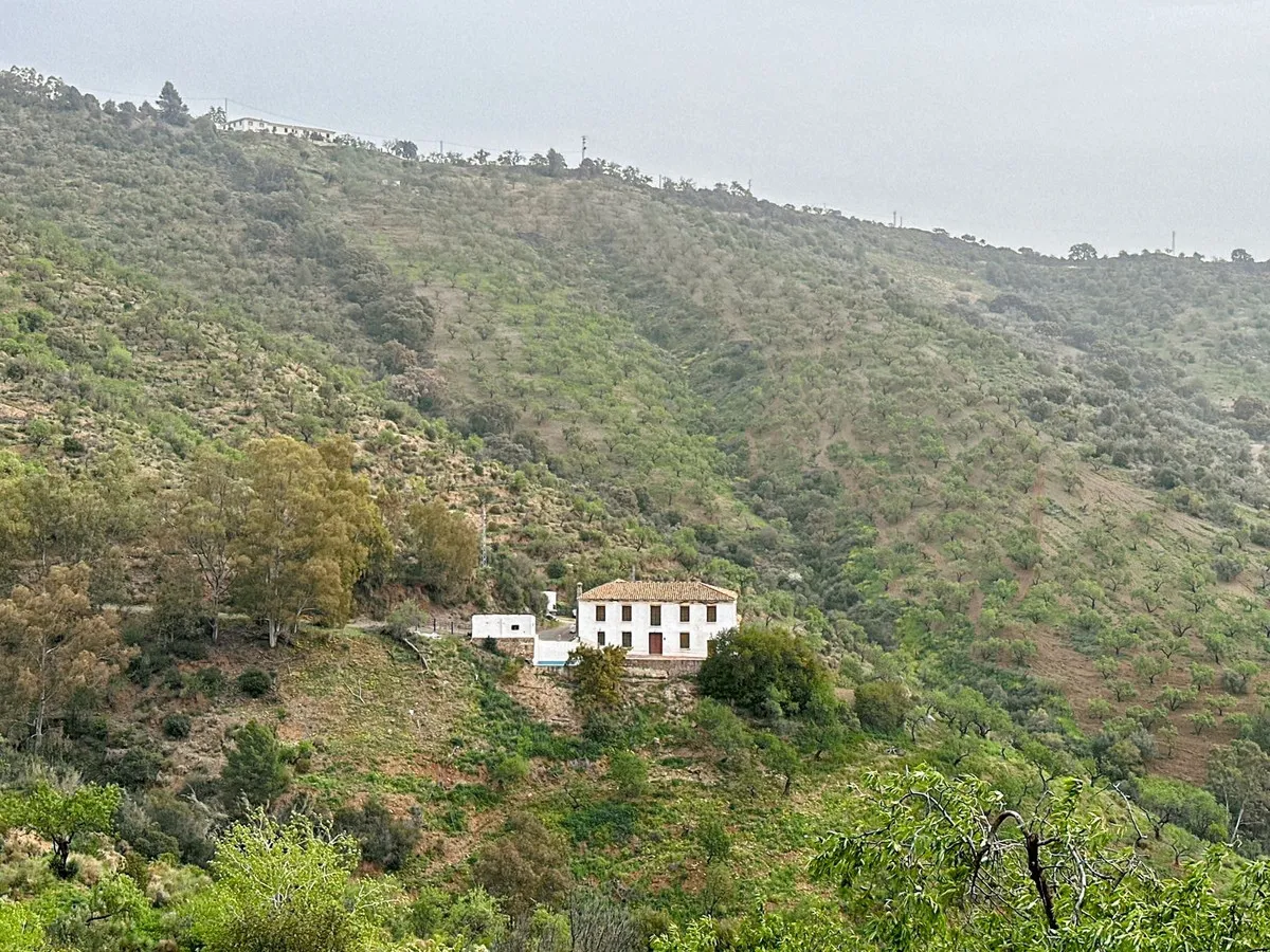 0537ef33-b930-4534-a562-6987018fd47f