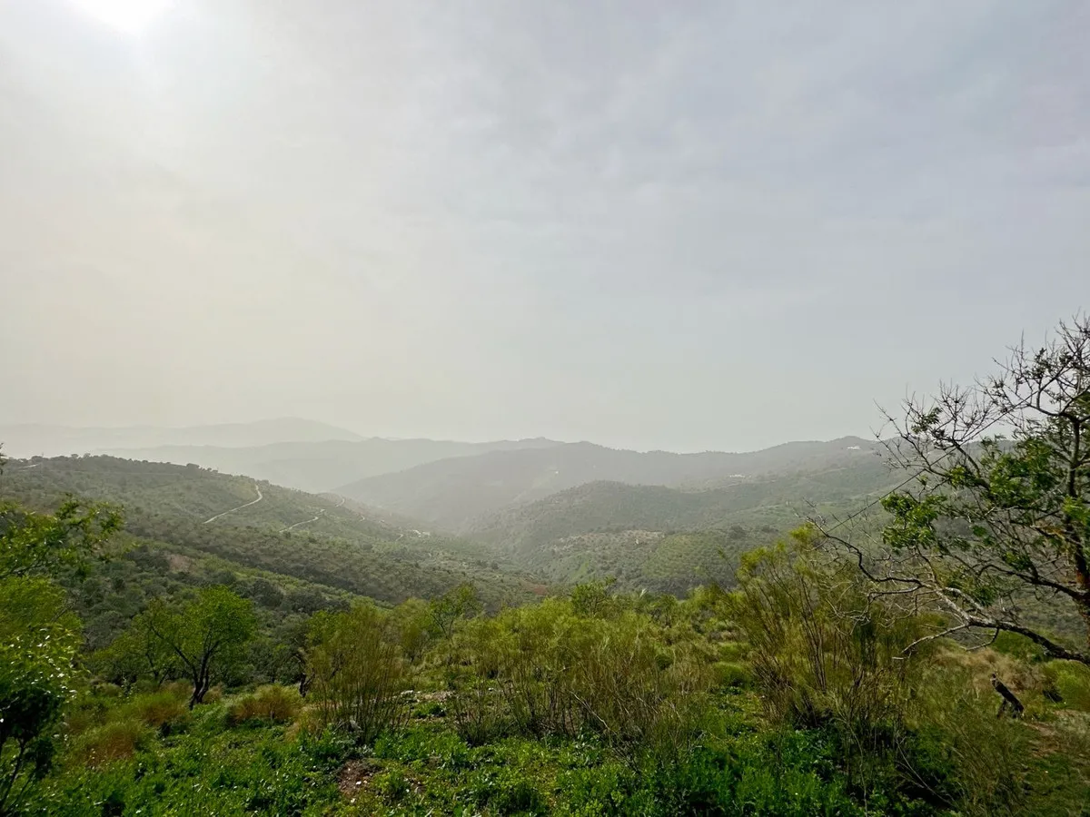 06ddce79-568f-4a3a-b7af-4200d7b6780c