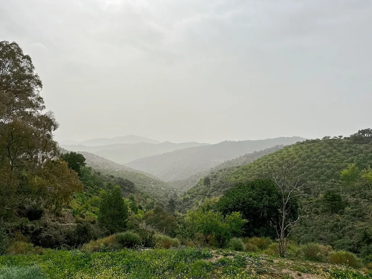 19e86e2c-3718-411e-833d-eae0a1fded86