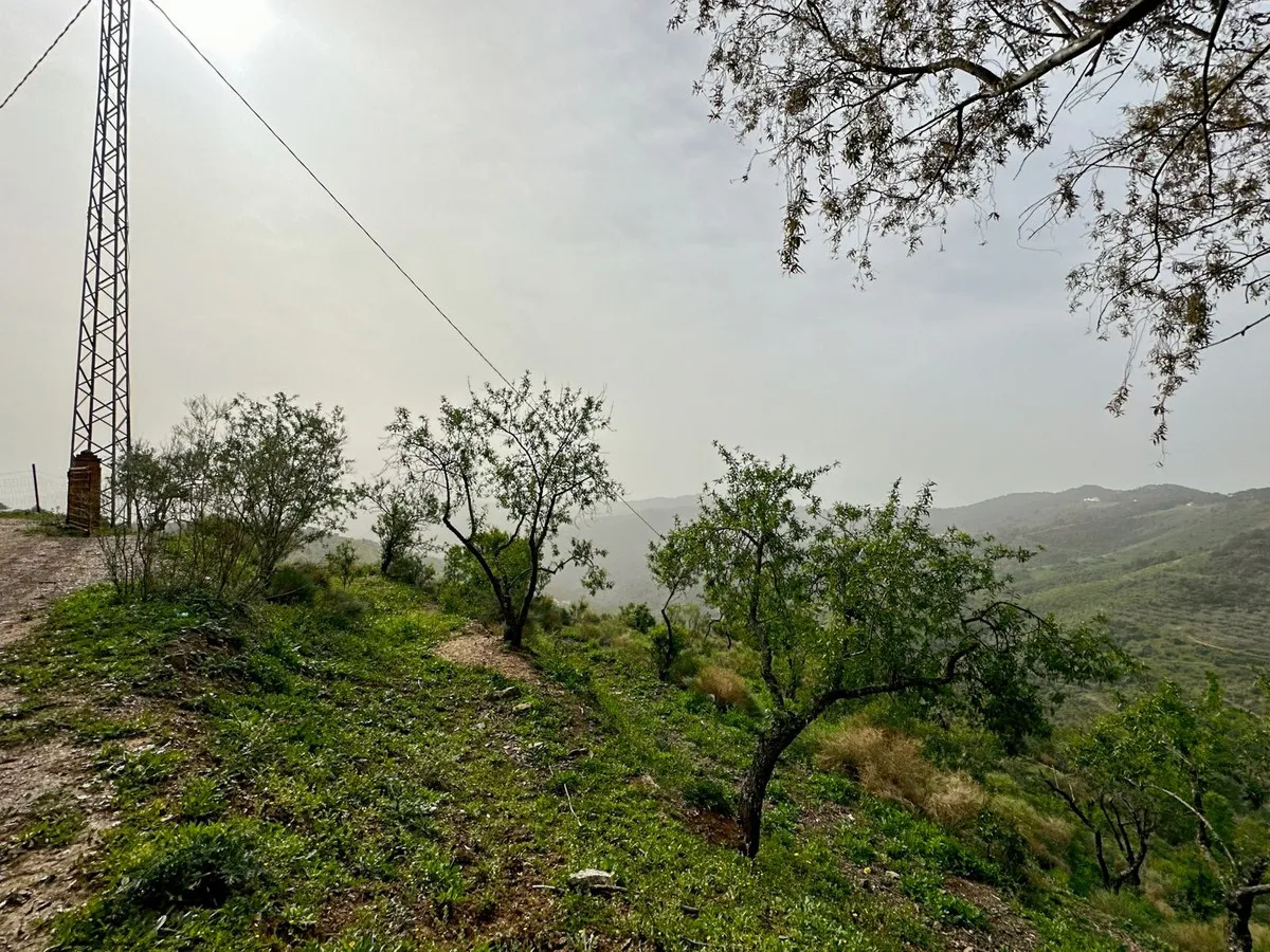 1b7eba19-0331-465f-972a-c5ea4cb247f0