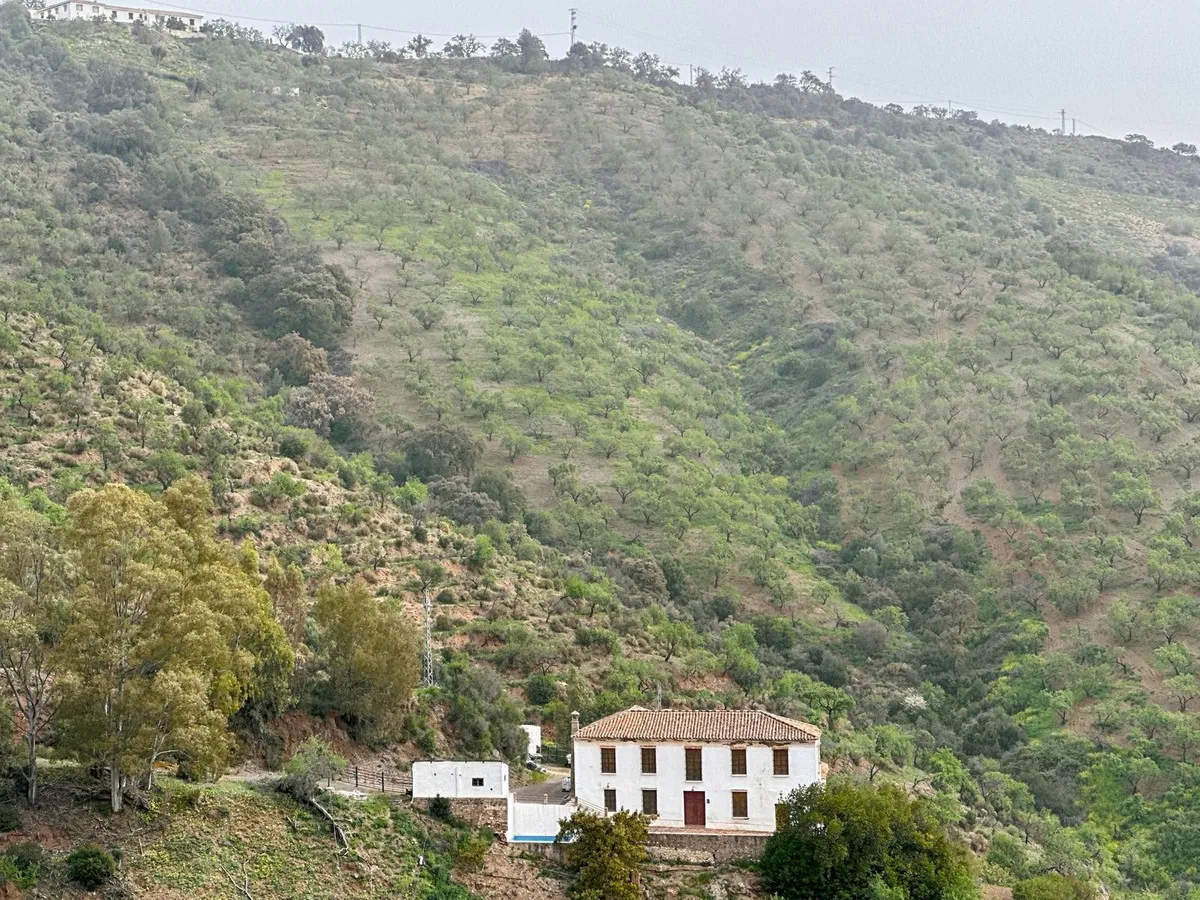 3540aed4-e358-43ee-be3c-a422d7039a2f