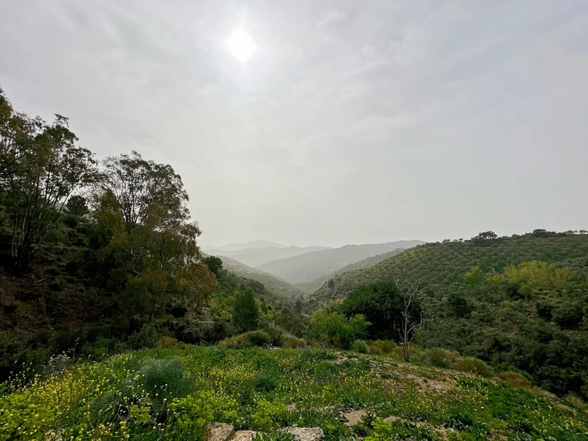 361764b7-1e30-4c91-b5da-28dfeb09d71e