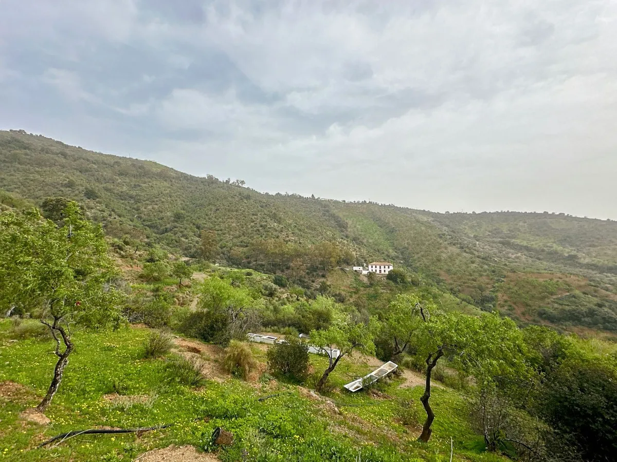 434e95c2-5f07-41fb-b85d-aa94bc90ad01