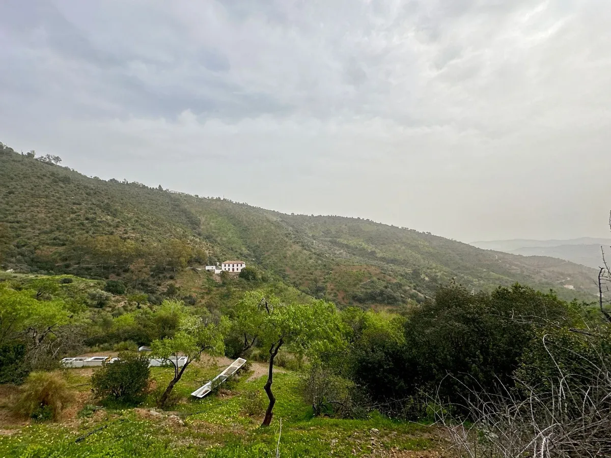 53fb70a1-d8fb-4e22-9222-e392f52cbf72