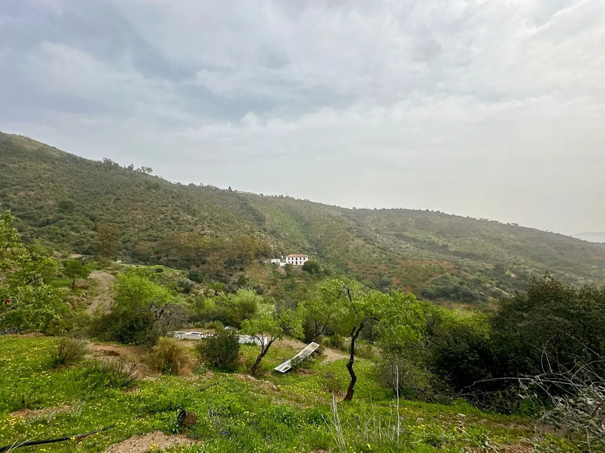 7ecdb2c4-ff23-4f86-a898-b5ea7c74f38f