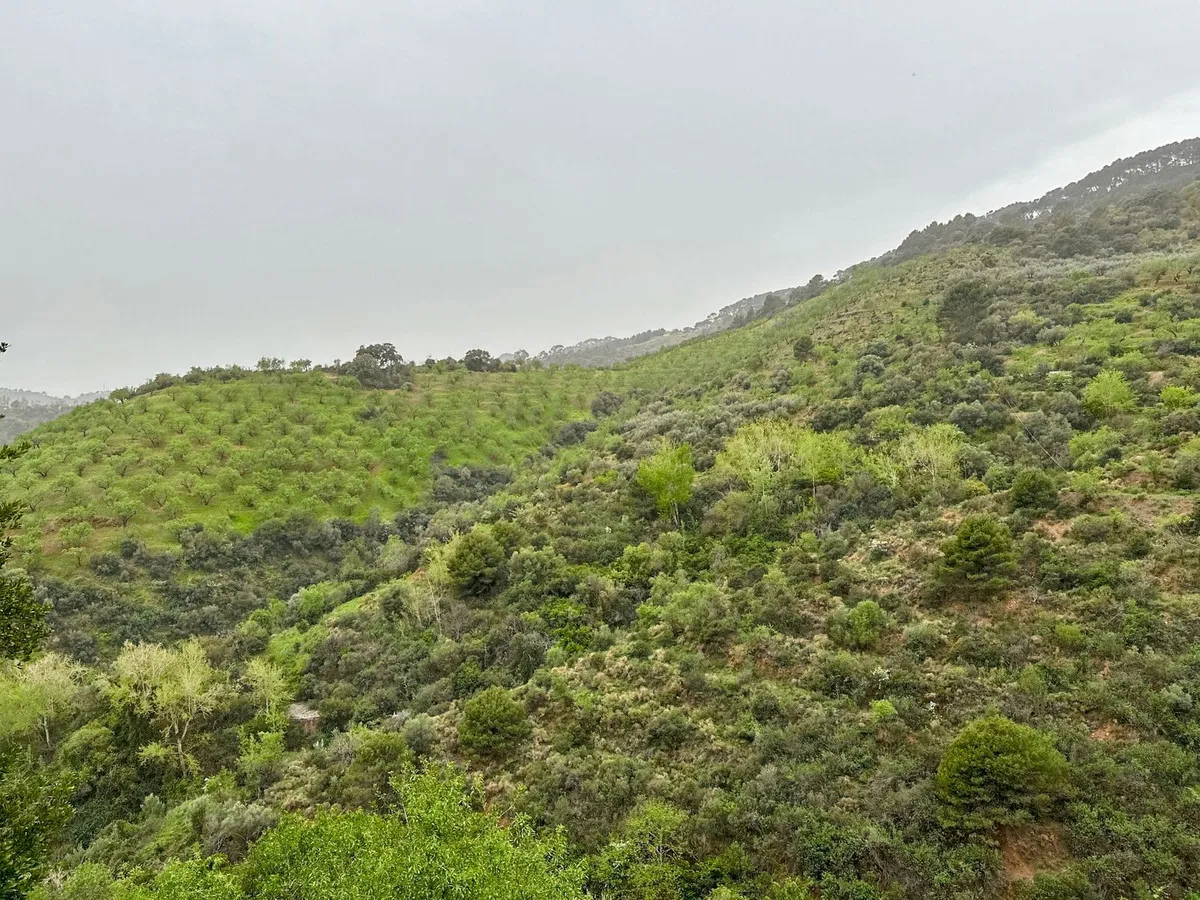 8a73fe44-400f-4761-8b38-48d2b185e808