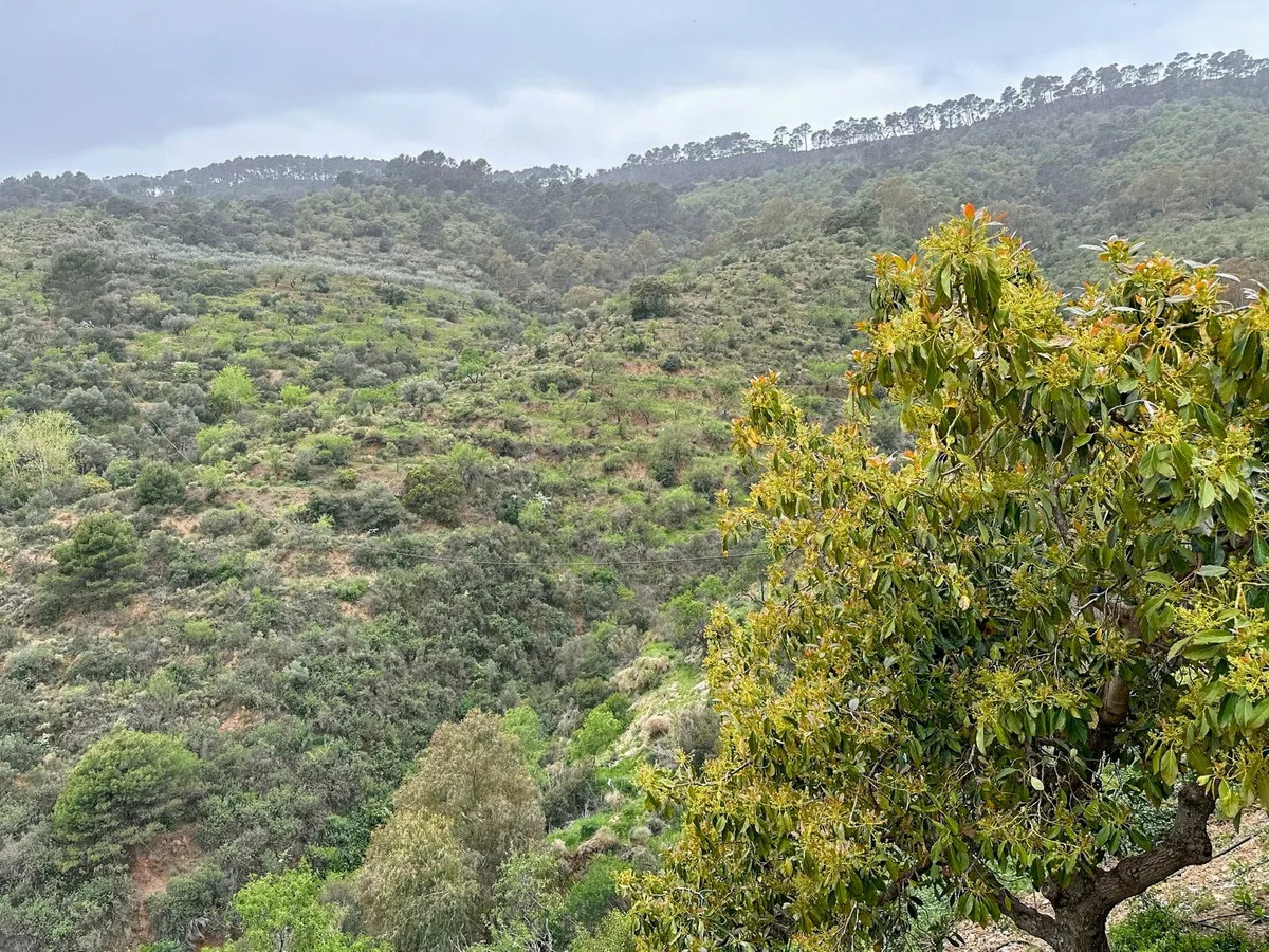 931bcb93-84f5-435a-a8cf-39d70e2c0154