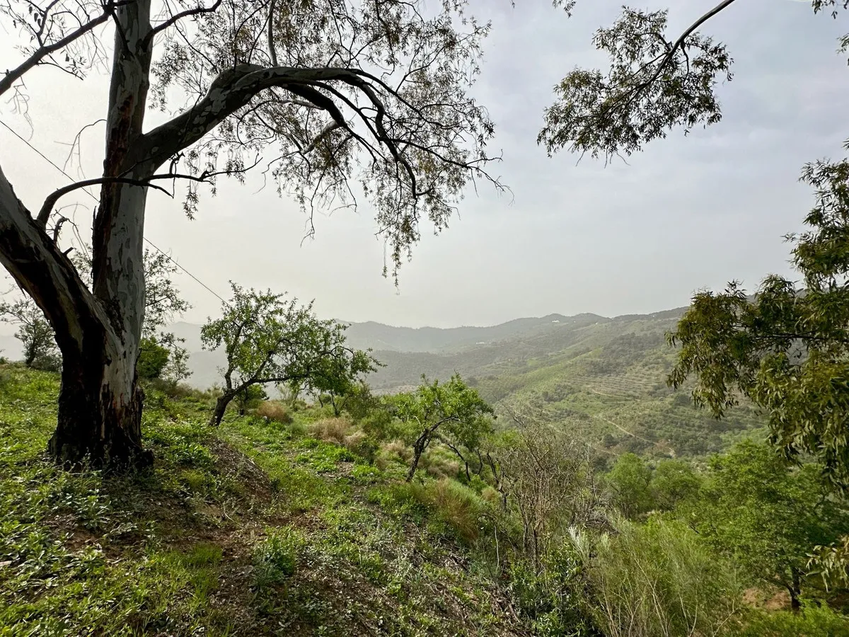 9b7a6015-f2d2-4fc8-aa68-2a7fca554766