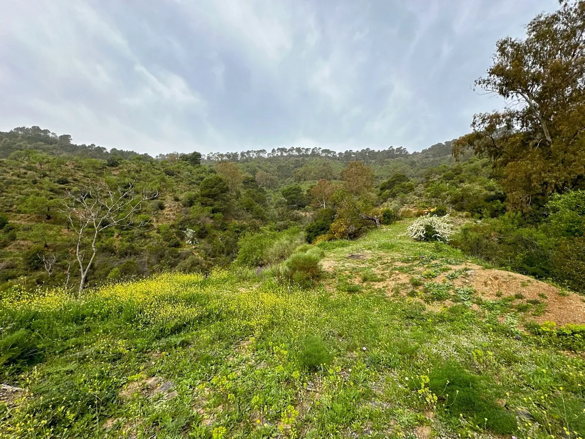 b7396d8c-fc6f-4280-8b72-5c29084db19c