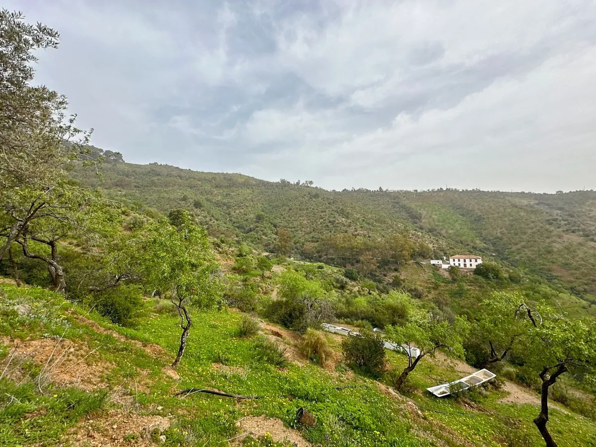 dc7b419d-7d14-42bf-a0a5-19fad6ba24ea