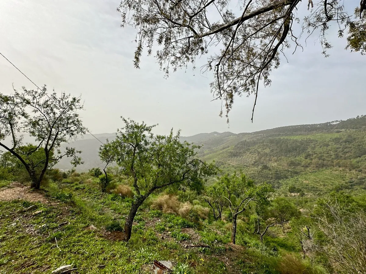 df813c4e-16ce-4619-a39e-81997893d676