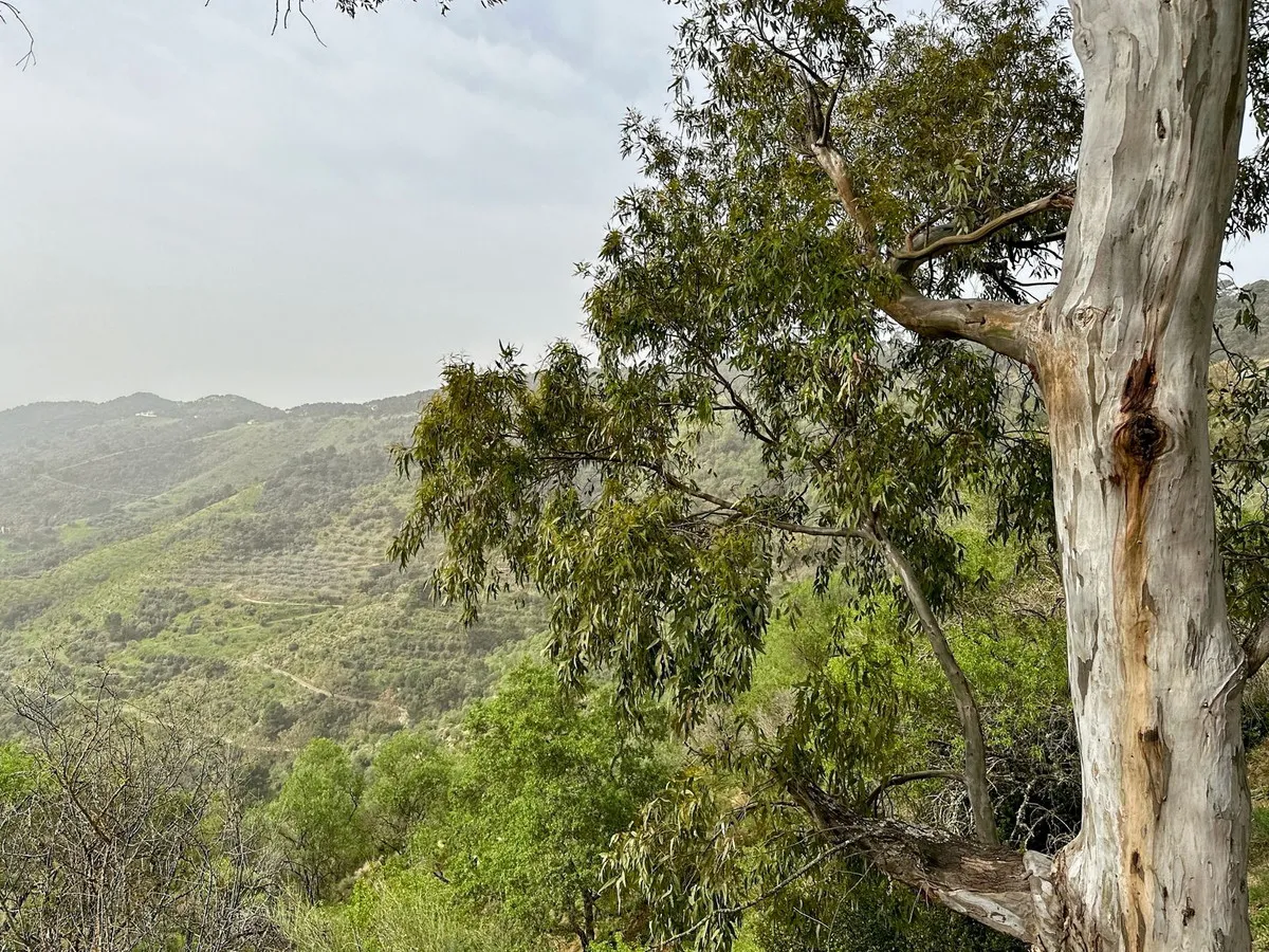 f2ac2d61-1e0d-4473-9012-d8e88890ad20