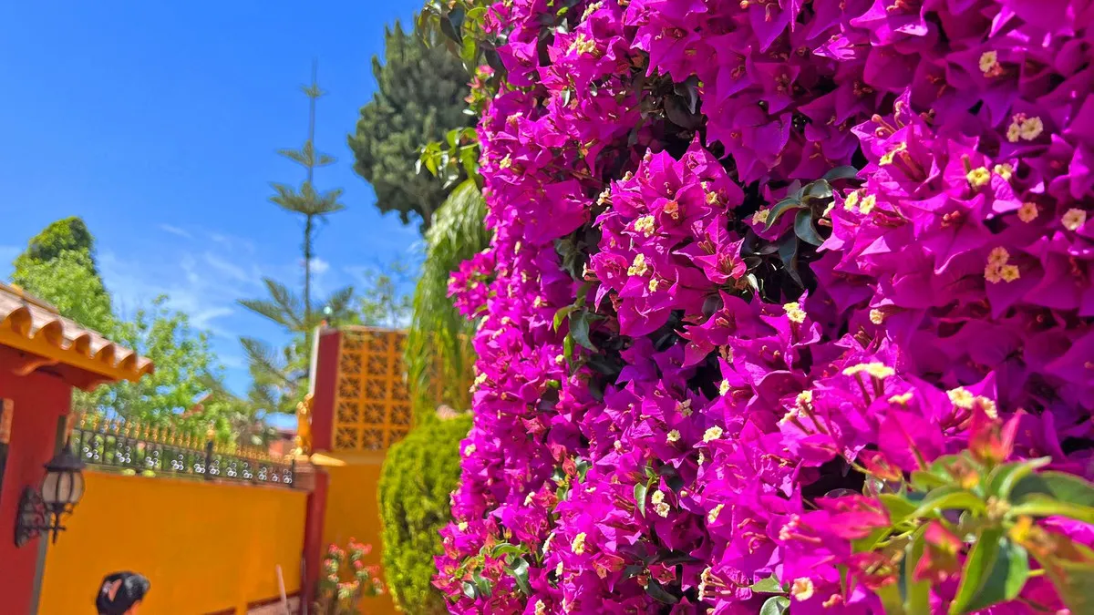 1837f504-1b66-4778-b23b-ea45ae702eaf